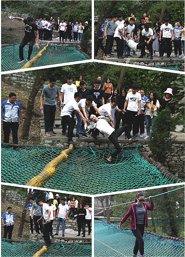 金格瑞生物質顆粒機的小夥伴們齊心協力，共創佳績