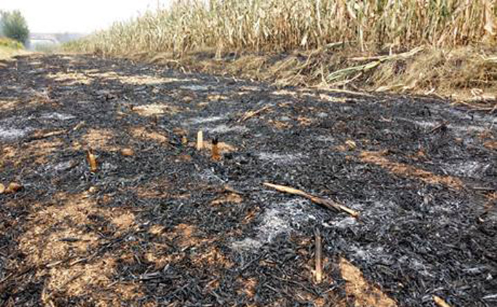 秸稈顆粒機增加秸稈利用渠道，減少秸稈亂燒現象