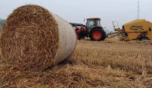 生物質資源豐富 生物質顆粒機械