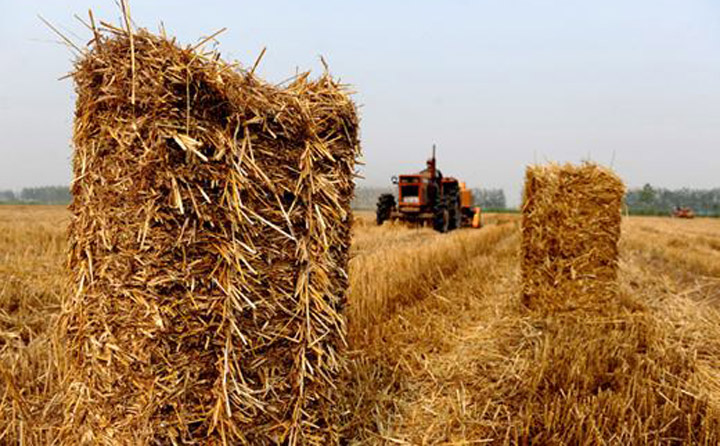 農林剩餘物是寶貴的生物質資源 生物質顆粒機械