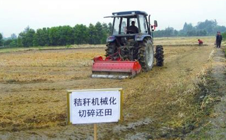 秸稈還田讓“地越種越肥、產值越來越高”