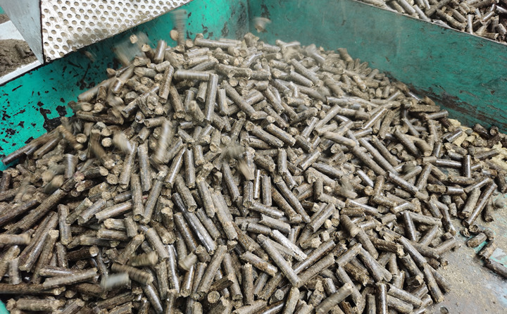 今日說說生物質燃料顆粒機的顆粒燃料那點事 今日說說生物質燃料顆粒機的顆粒燃料那點事