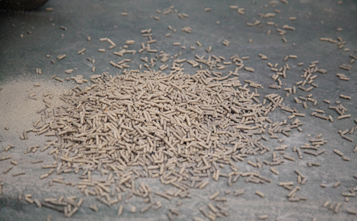 日照生物質顆粒機的顆粒 日照生物質顆粒機的顆粒