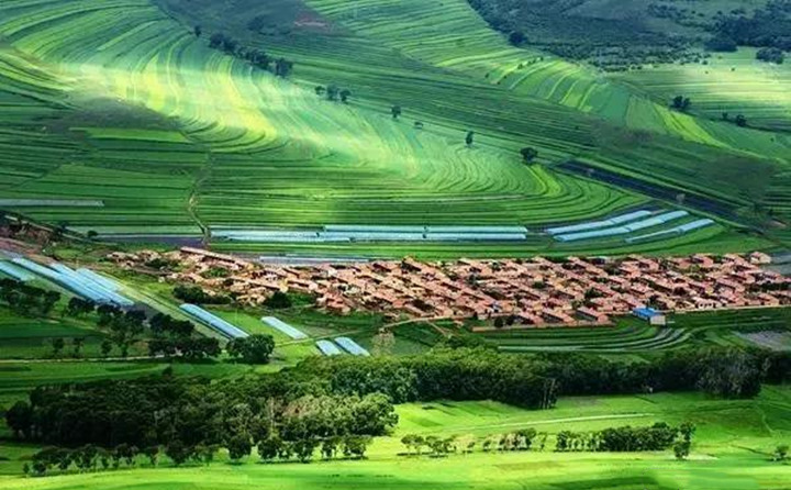 近日，甘穀縣農業農村項目建設服務中心全體幹部來到大石鎮李灣村開展我為群眾辦實事活動