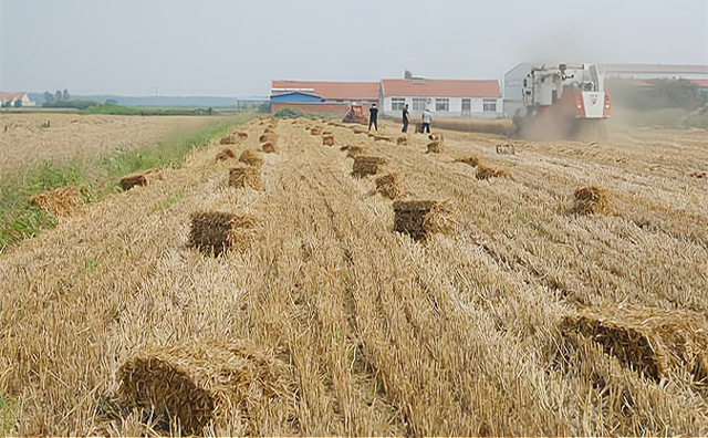 生物質作為一種含碳、固體形態的可再生能源，其熱轉化利用技術、設備與煤炭具有相似性，且生物質氮、硫含量低，汙染物排放要遠低於燃煤。因此，大力發展生物質燃料鍋爐將有助於緩解燃煤帶來的環境汙染問題