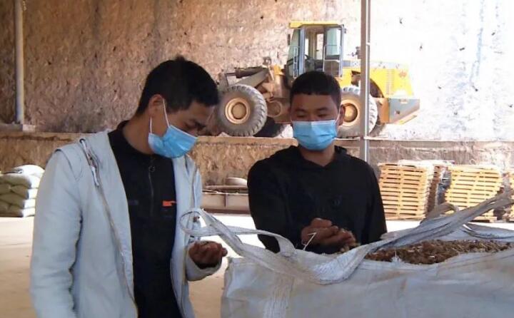 為有效禁止露天焚燒秸稈和有效提高農作物秸稈綜合利用，雙龍營鎮多措並舉，積極引導群眾秸稈還田、秸稈飼料化、生物質顆粒機秸稈燃料化利用，從源頭治理露天焚燒秸稈現象。