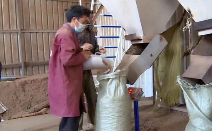 生物質顆粒它主要的生產成分，是拿農戶的秸稈、菊花杆和這些玉米骨頭、建築紅板、還有烤煙杆這些，顆粒機壓製（後）生產出來的