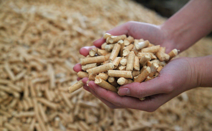 生物質顆粒機鬆木顆粒