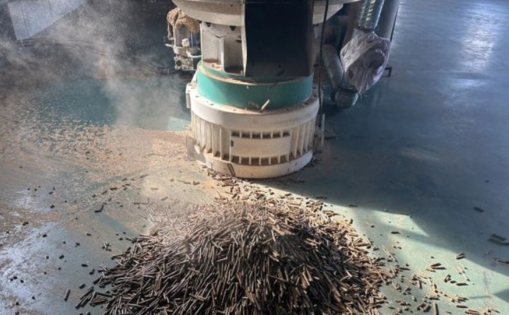 黑龍江鶴立林業局：生物質顆粒產業點燃綠色發展新引擎