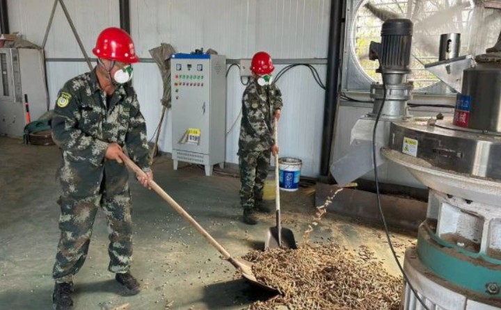 黑龍江鶴立林業局：生物質顆粒產業點燃綠色發展新引擎