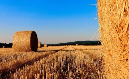 2019年秸稈綜合利用有補助嗎？每畝補助多少錢？