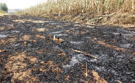 秸稈顆粒機增加秸稈利用渠道，減少秸稈亂燒現象