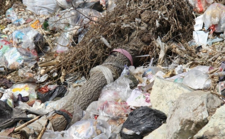 秸稈問題亟待解決，你有什麼好辦法？