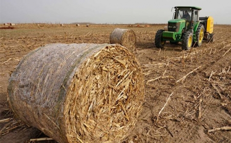 生物質顆粒機的發展大前景，你知道嗎？