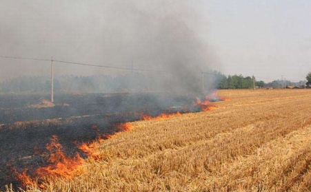 農作物後的秸稈不能燒，用了秸稈顆粒機能變錢！