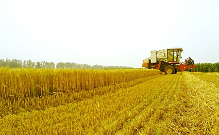 發展生物質顆粒機，作用良多