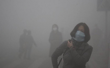 玉米秸稈顆粒機如何使秸稈變“寶貝”？