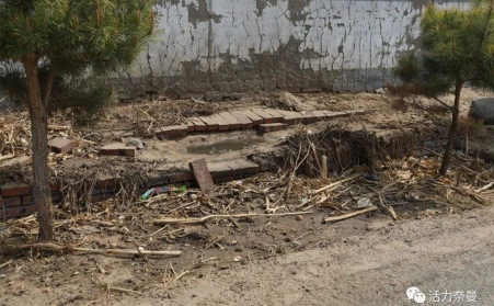 生物質顆粒機的發展，對處理農村垃圾具有重要意義