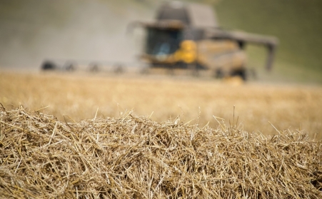 看這裏！了解木屑顆粒機如何利用廢棄物