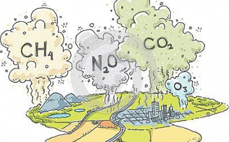 秸杆如何綜合治理，秸稈顆粒機來幫忙！