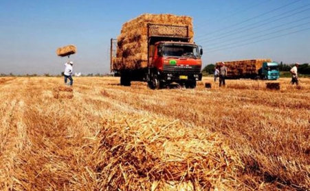 生物質燃料顆粒機原料有哪些？重要麼？
