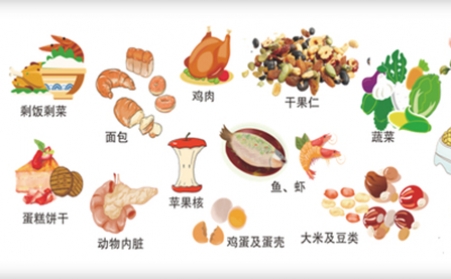 我國明確對非居民廚餘垃圾處理按“產生者付費”原則計量收費,你的垃圾怎麼辦？垃圾生物質顆粒機幫你解決