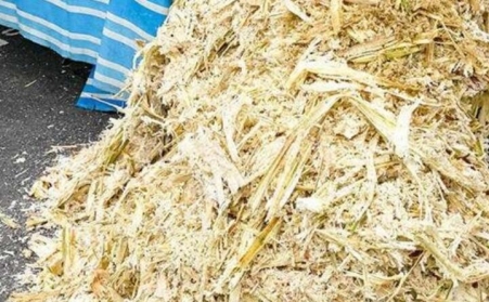 甘蔗渣想廢物利用？可以考慮生物質顆粒機！