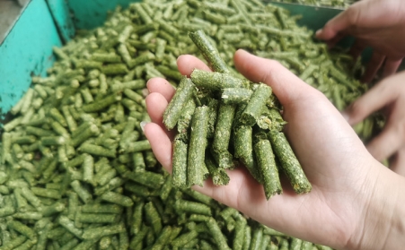 河南支持生物質能等可再生能源替代，助力實現碳達峰碳中和目標