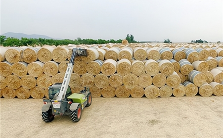 黑龍江省遜克縣秸稈綜合利用形成多贏局麵