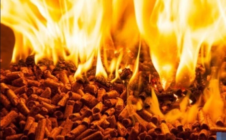 研報：歐洲的木屑顆粒供應衝擊