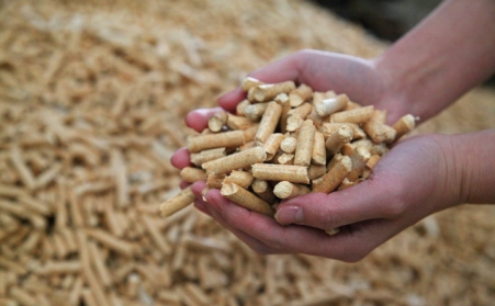 明確生物質成型燃料是清潔能源，加大政策扶持力度