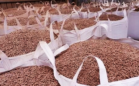 廣東省潮州市湘橋區：廢枝雜木“變身”生物質顆粒燃料，環保又增收