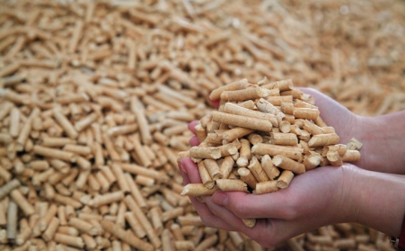 廢木材粉碎後用生物質顆粒機製作生物質燃料顆粒