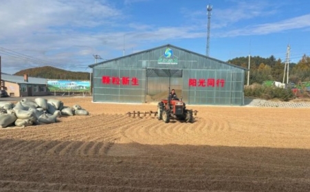 黑龍江鶴立林業局：生物質顆粒產業點燃綠色發展新引擎